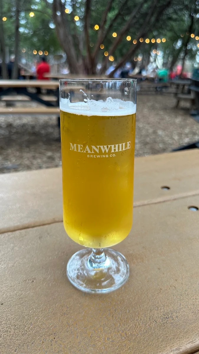 Tender Robot - Hazy IPA