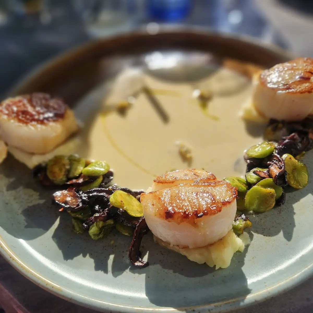 Seared New Bedford Sea Scallops