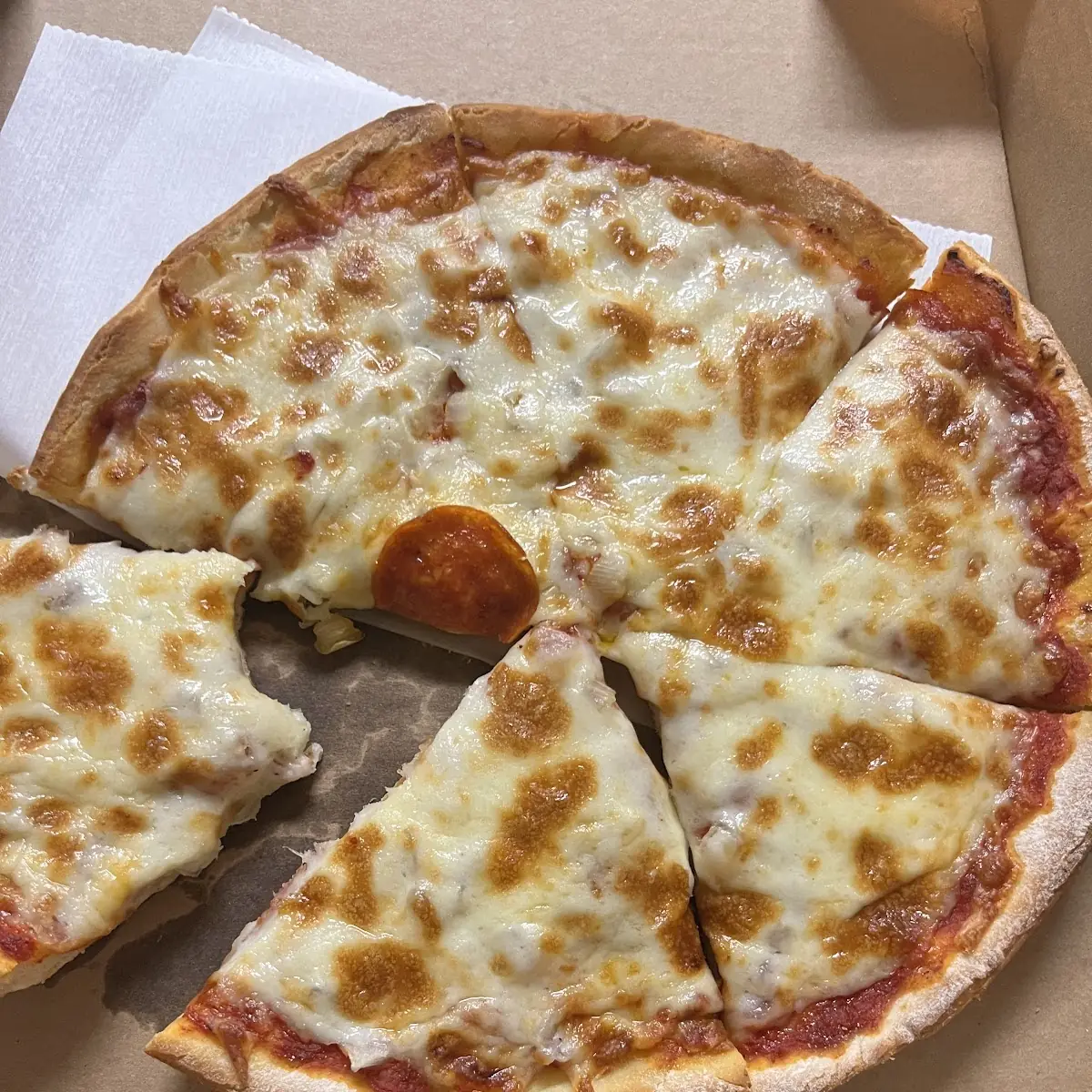 Onion and Pepperoni Pizza