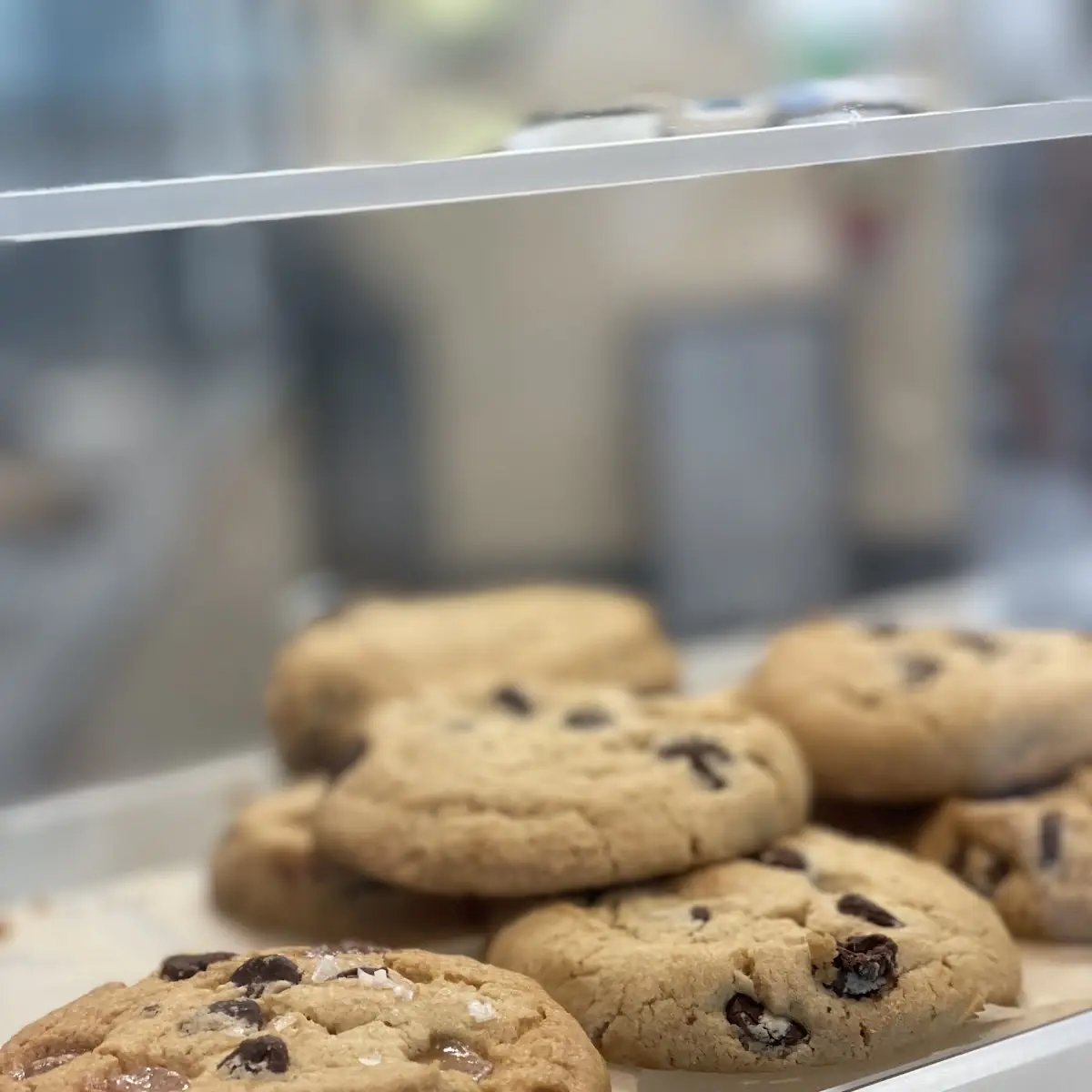 Chocolate Chip Cookie