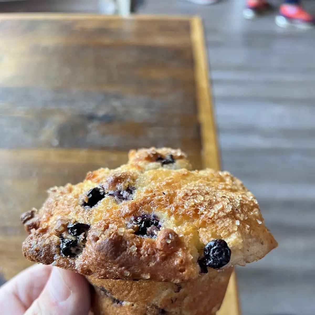 Blueberry Muffin