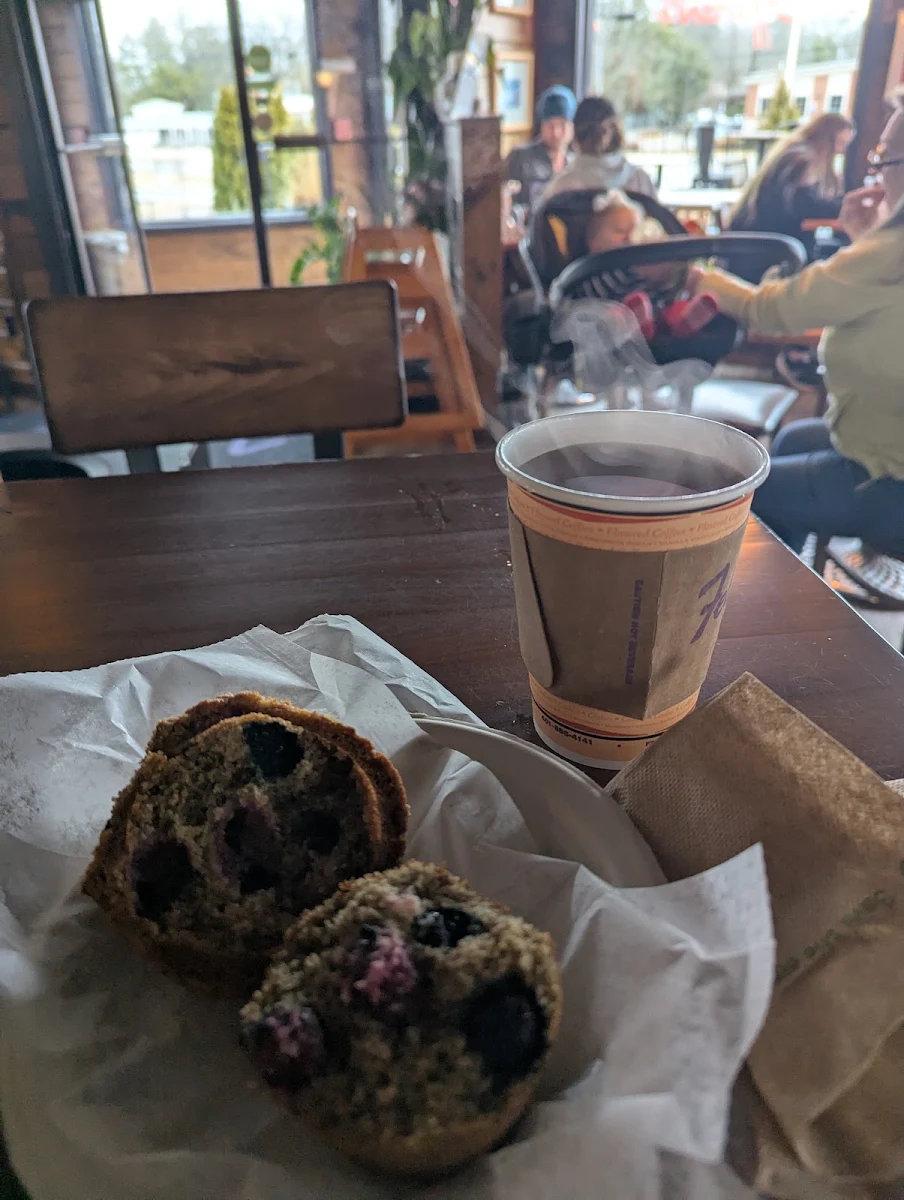 Blueberry Muffin