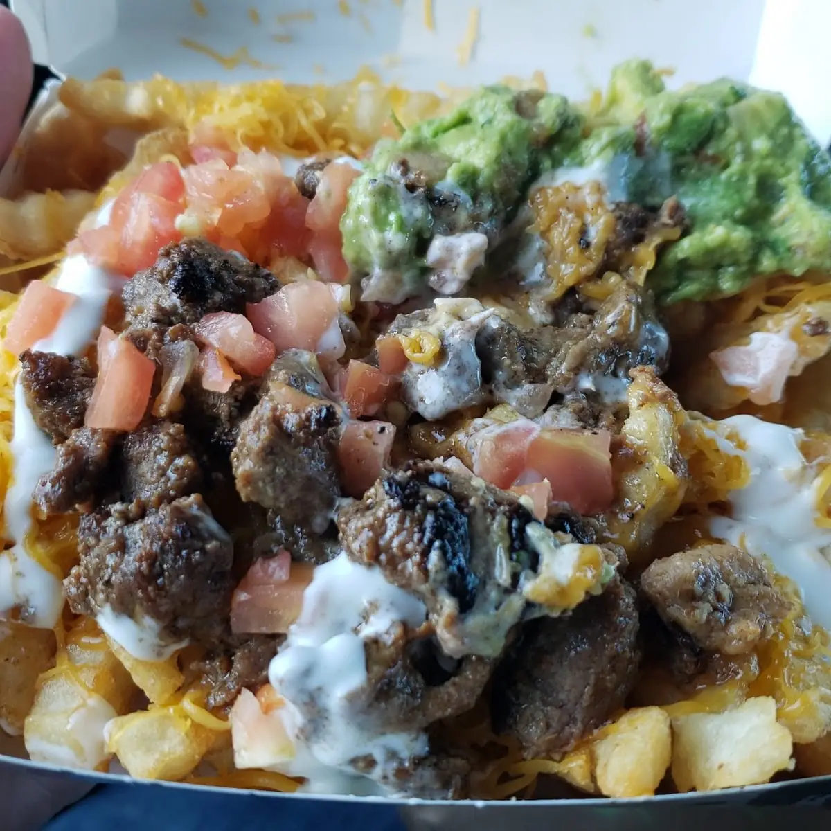 Carne Asada Fries