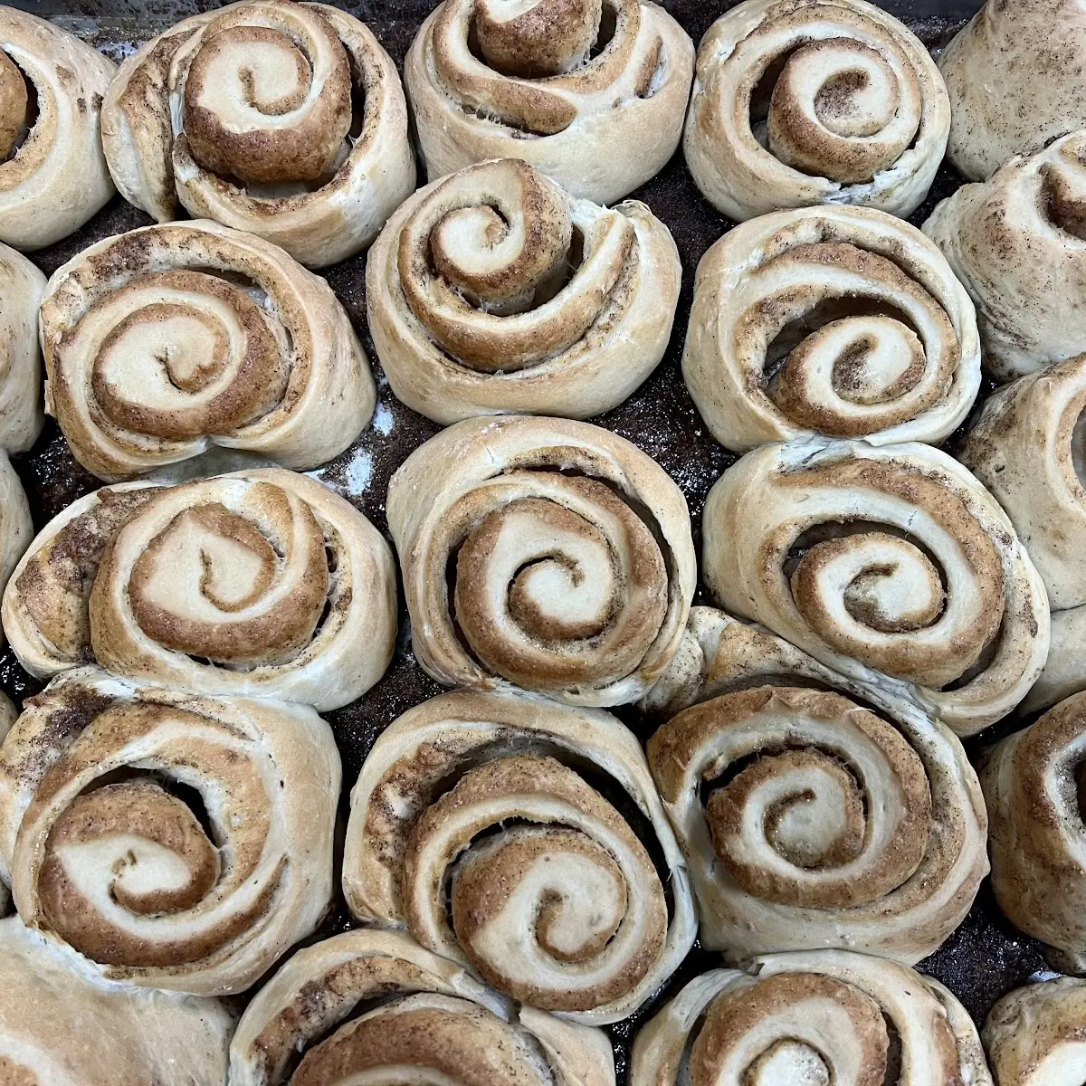 Cinnamon Rolls