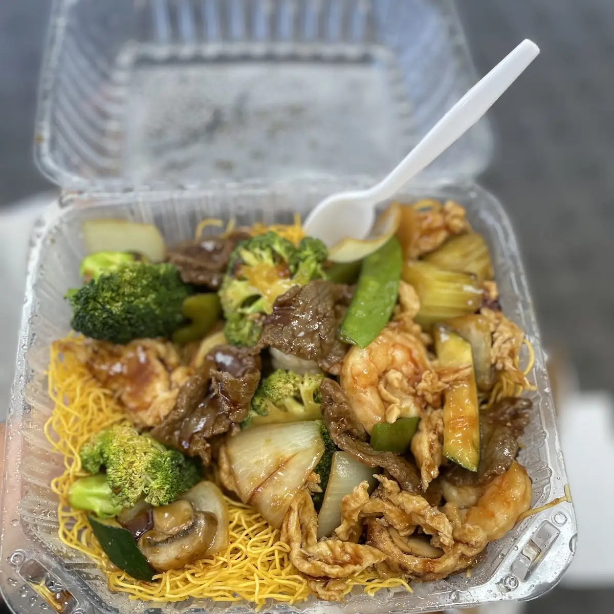 Pan Fried Beef Noodles