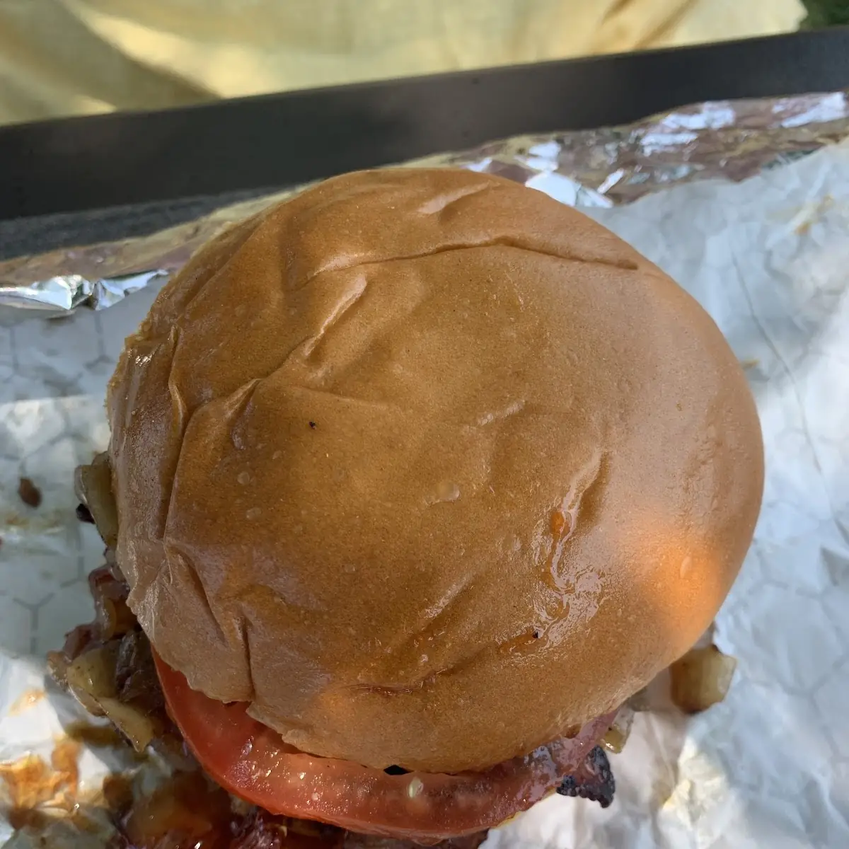 Bison Burger