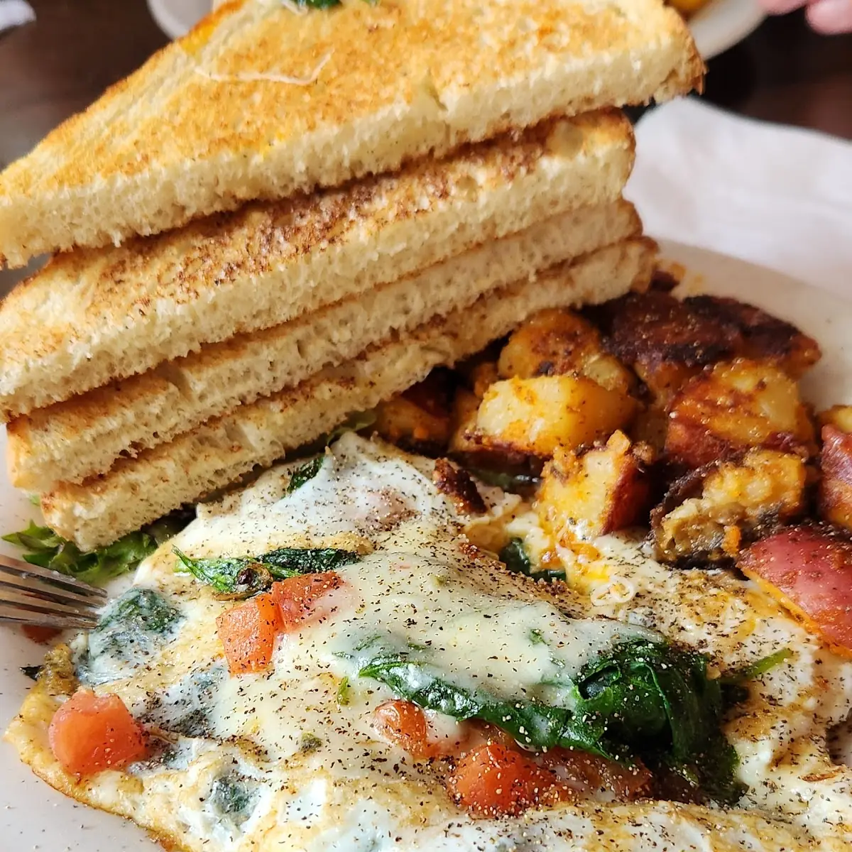 Egg White Omelette