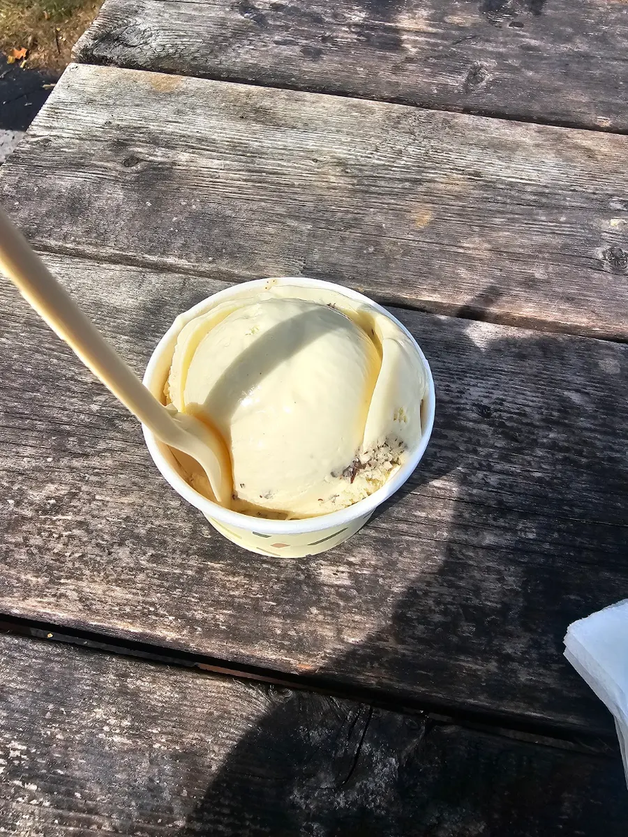 Brown Butter Cookie Dough Ice Cream