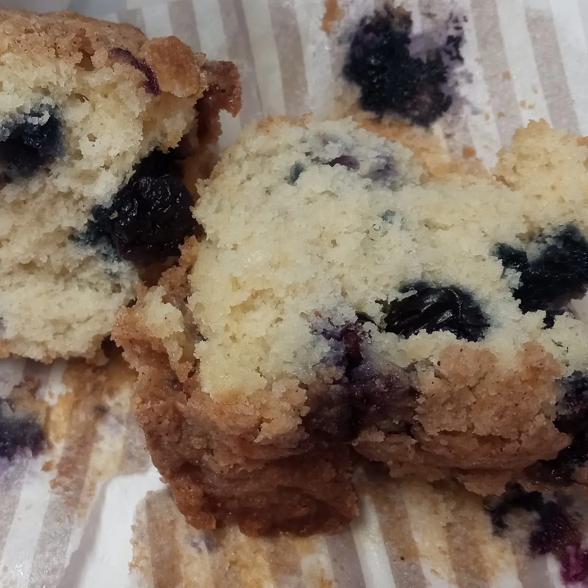 Blueberry Muffin