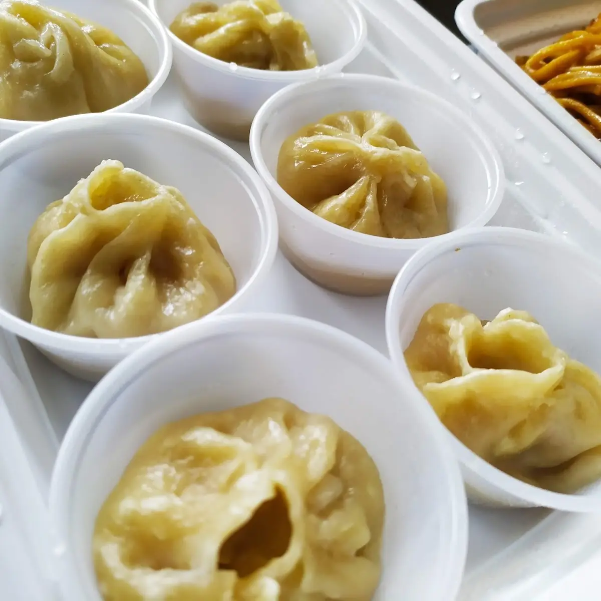 Fried or Steamed Dumplings