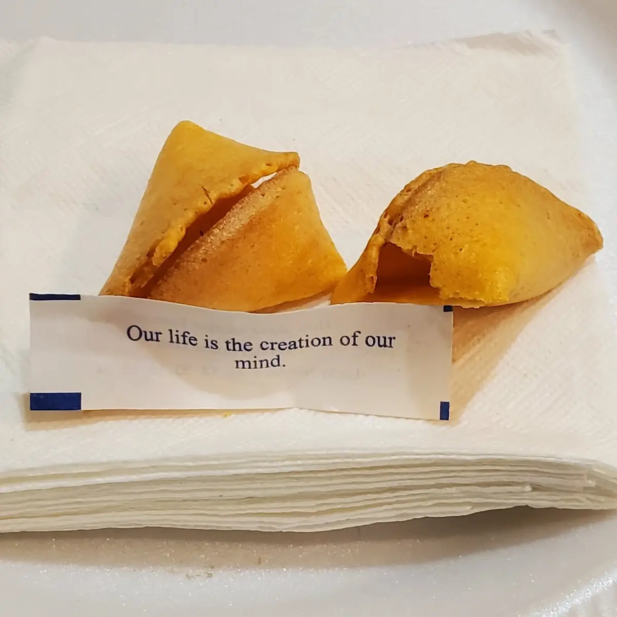 Fortune Cookie