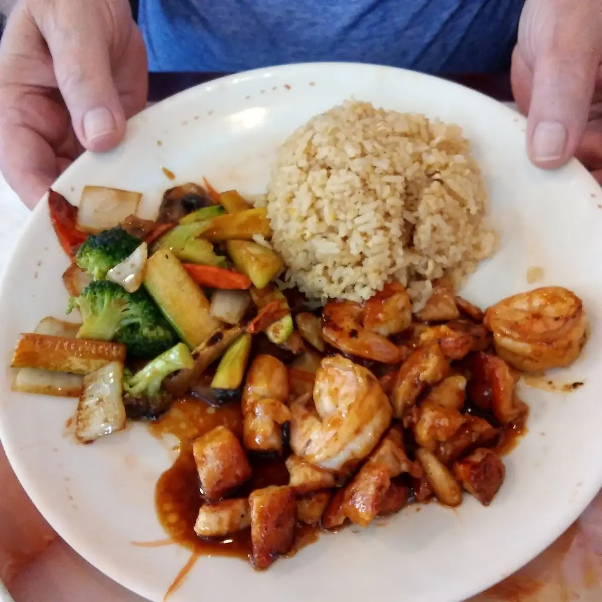Hibachi Chicken Vegetable Rice