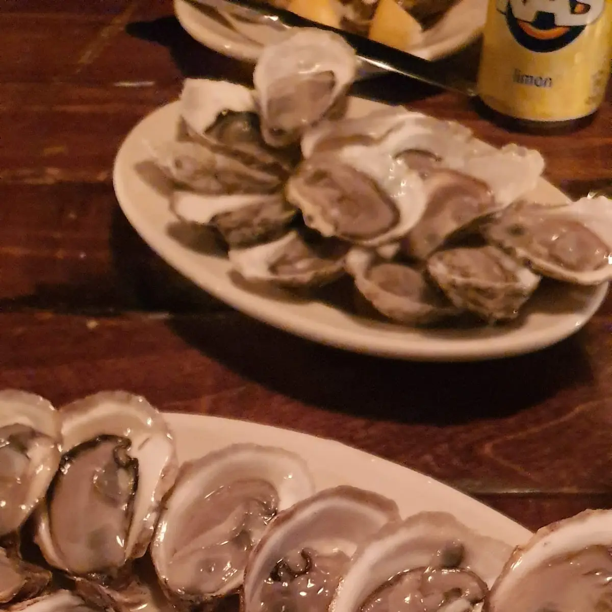 Fresh Oysters with Tomato Bruschetta