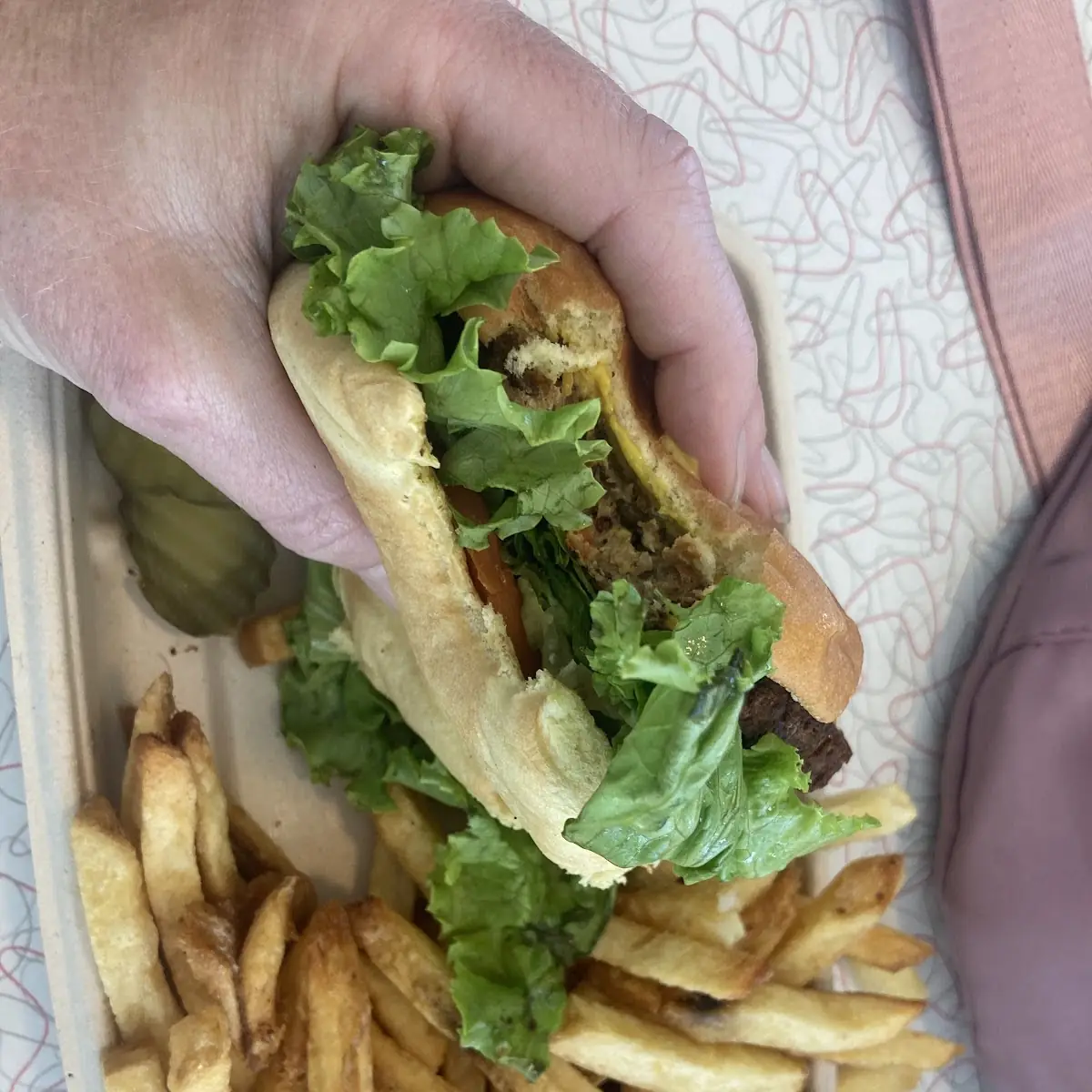 Veggie Burger and Fries