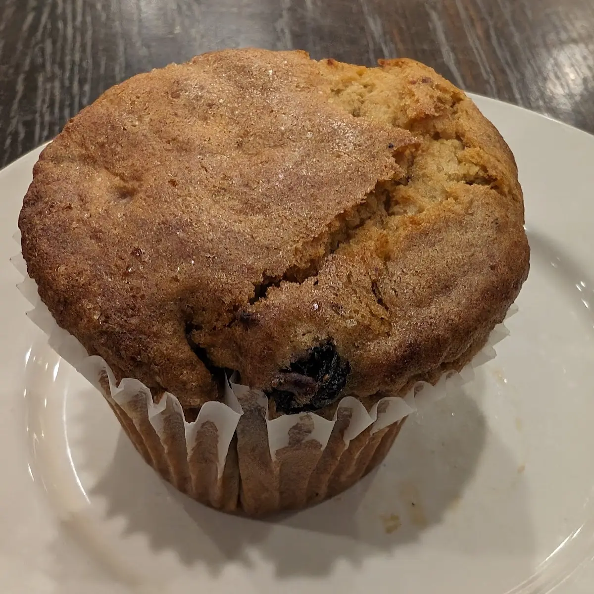 Blueberry Muffin