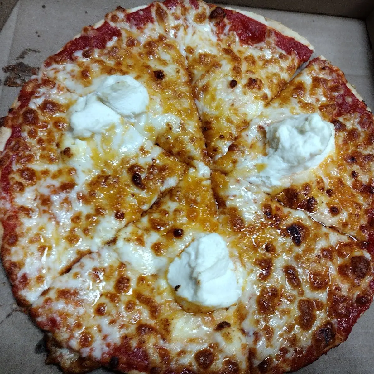 Five Cheese Pizza