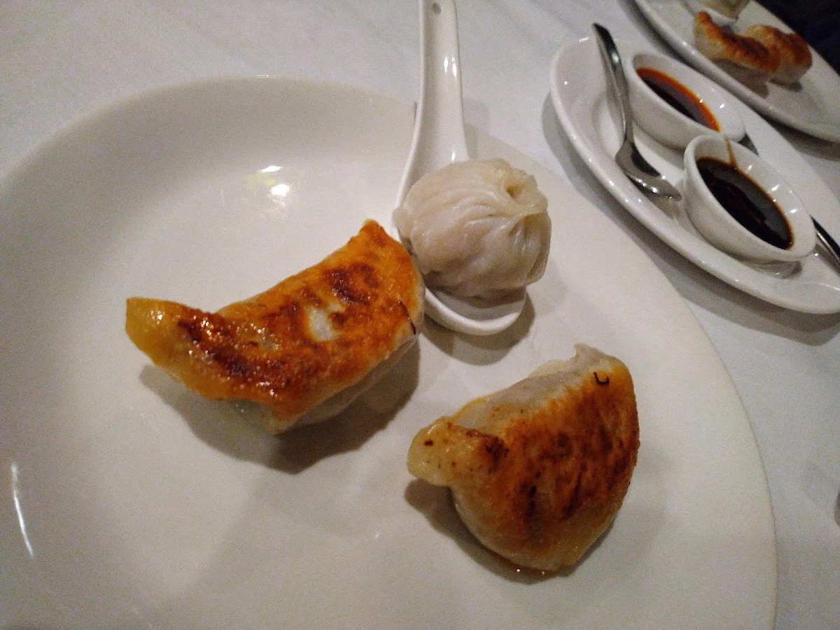 Pan Fried Dumplings
