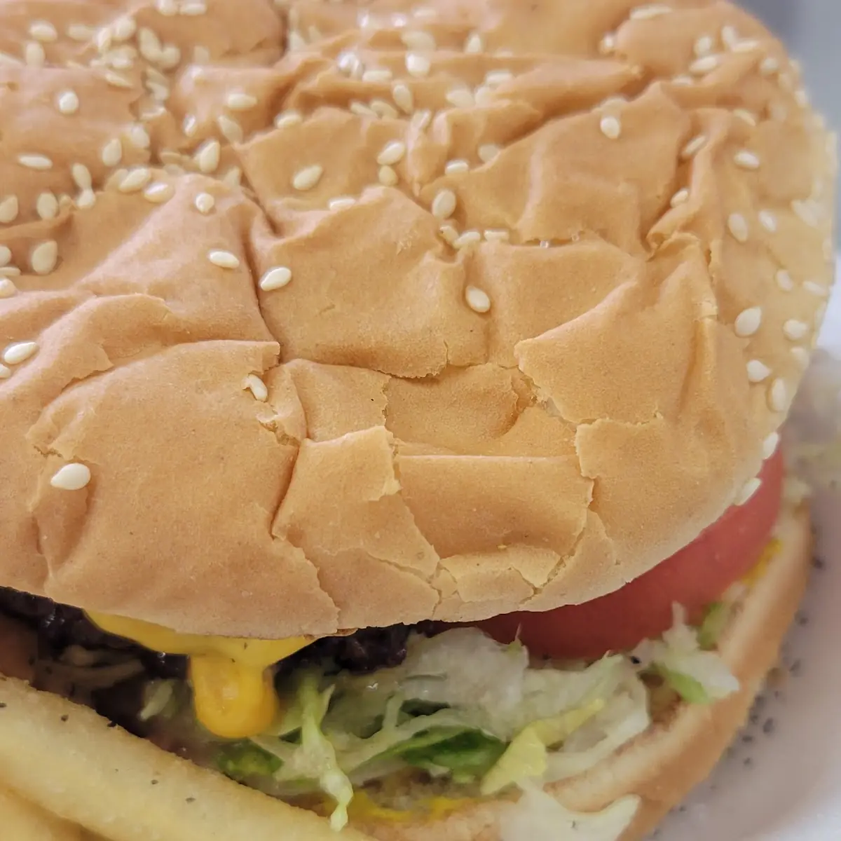 Cheese Burger and Fries