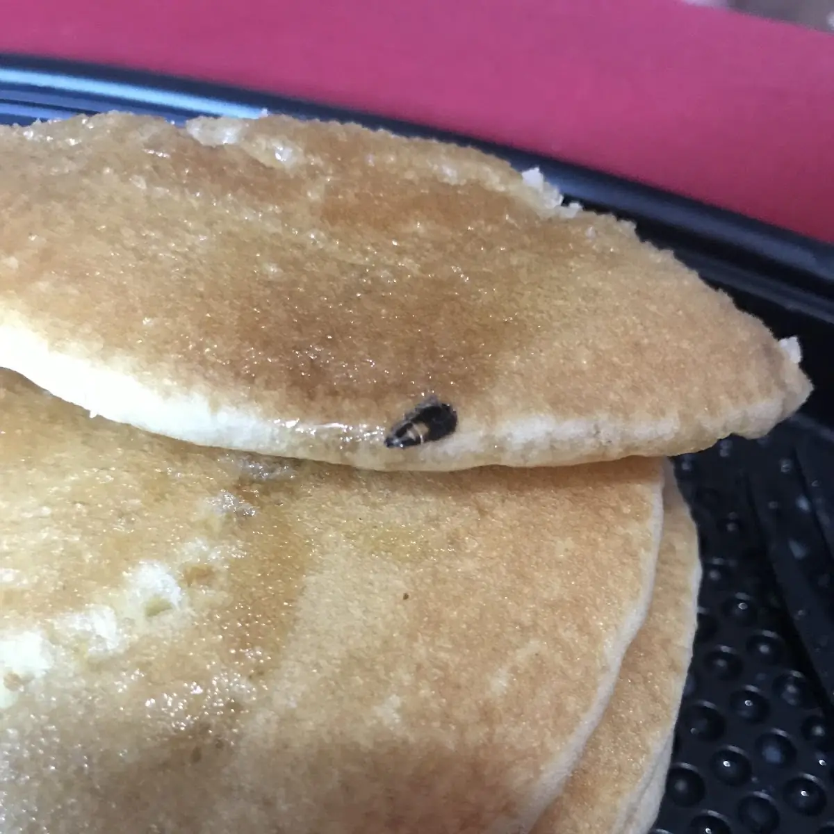 Blueberry Pancakes