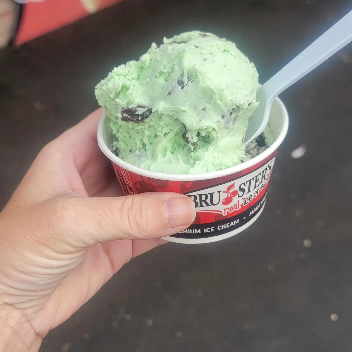 Mint Chocolate Chip