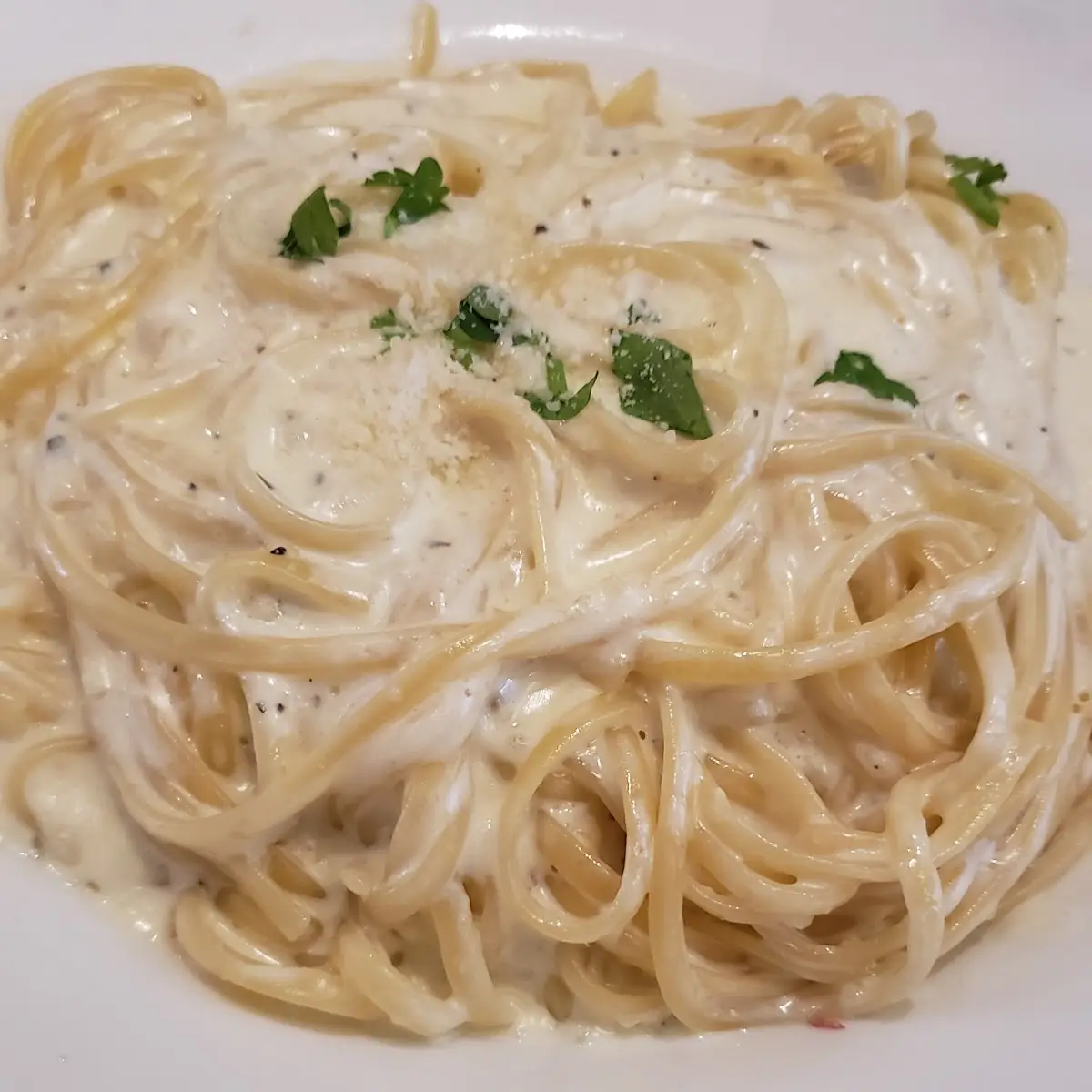 Alfredo Pasta