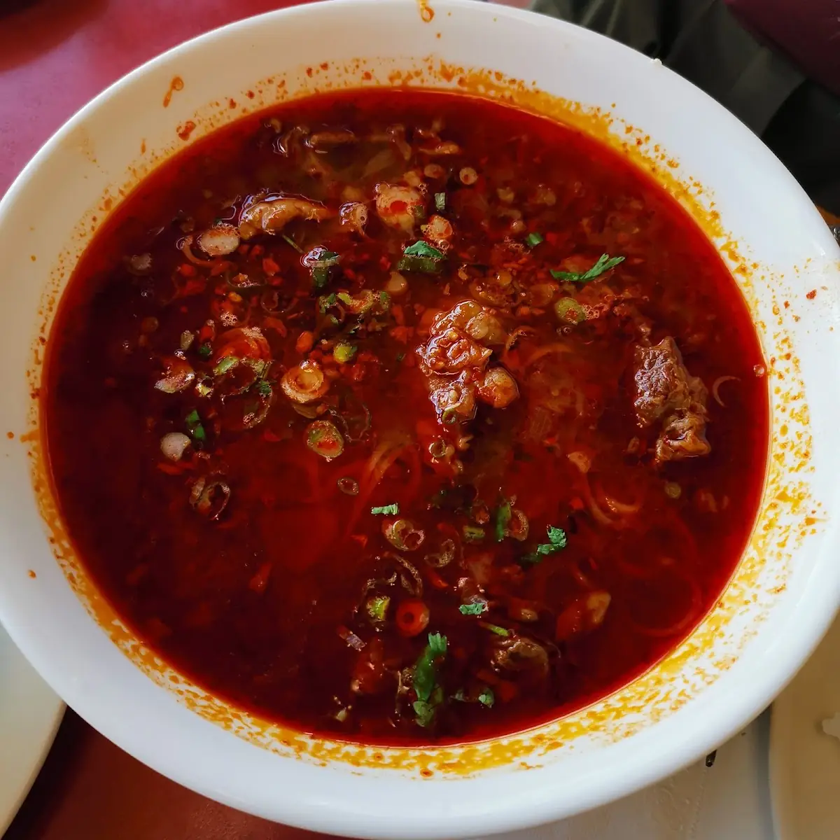 Spicy Noodle Soup and Spring Rolls