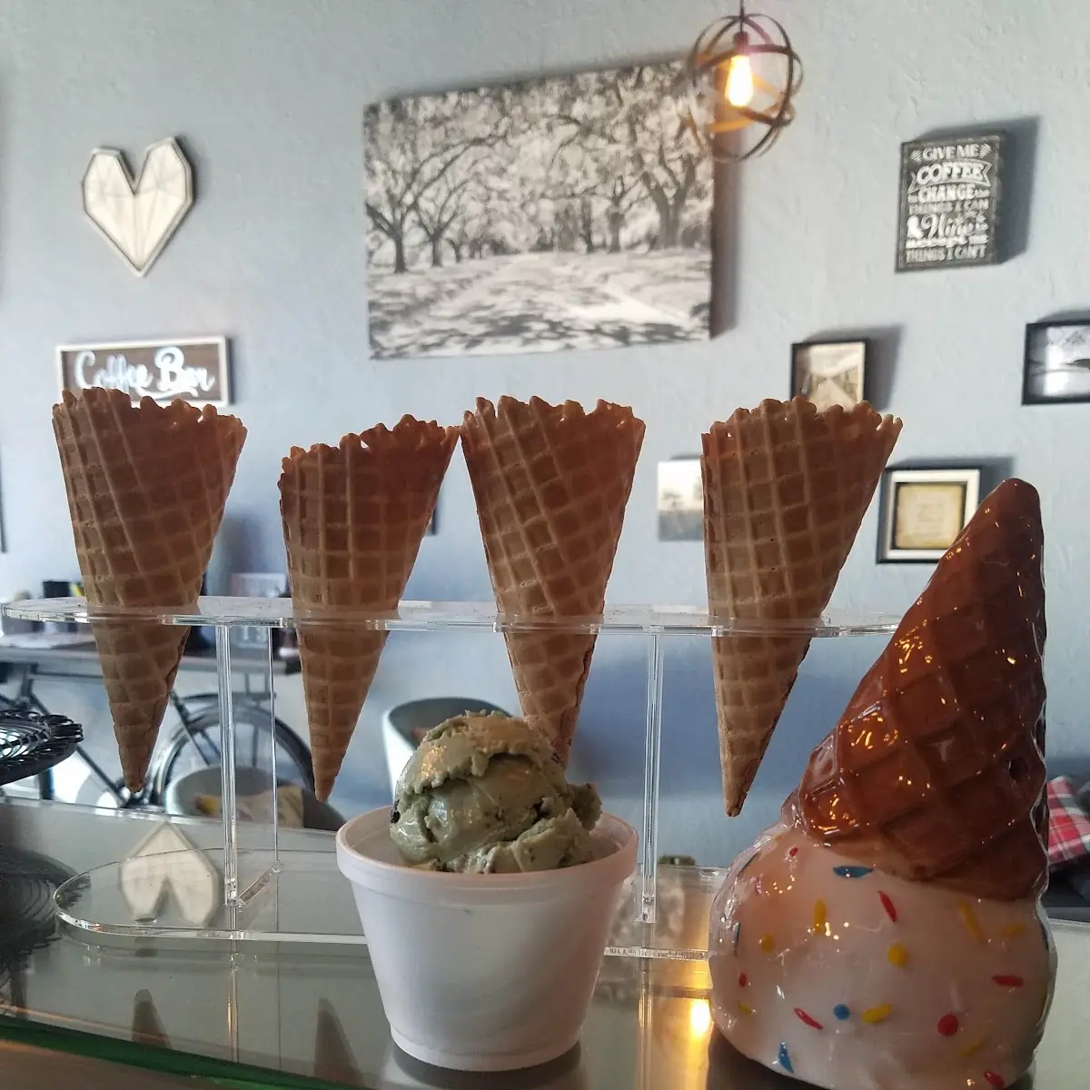 Mint Chocolate Chip