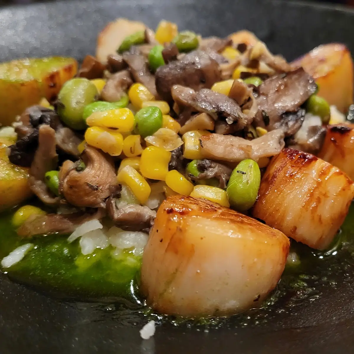 Seared Scallops