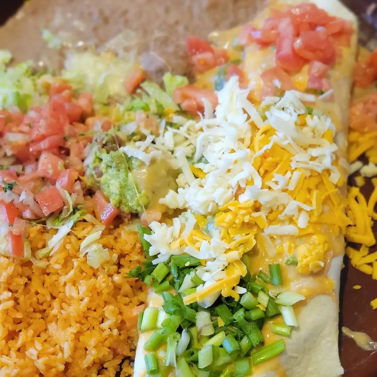 Plaza Mexico Burrito