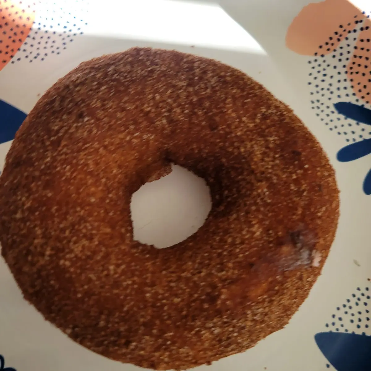 Cinnamon Sugar Donut
