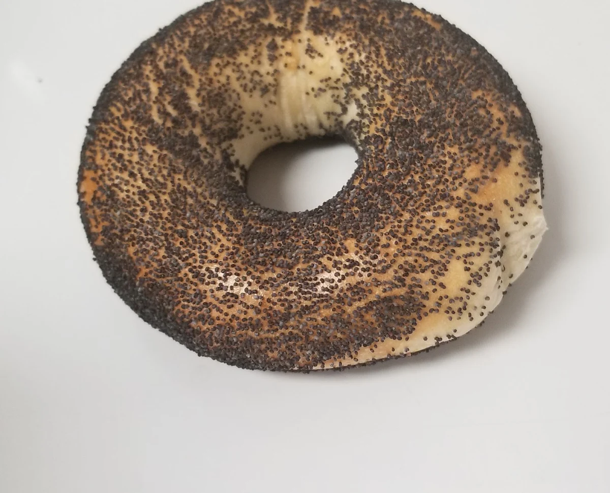Poppy Bagel