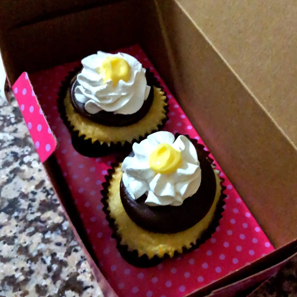 Boston Cream Pie Cupcakes