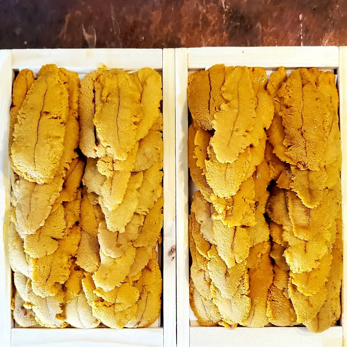 Sea Urchin Sashimi