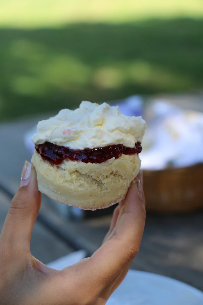 Devonshire Scones, Lady Lavender's Tea Room