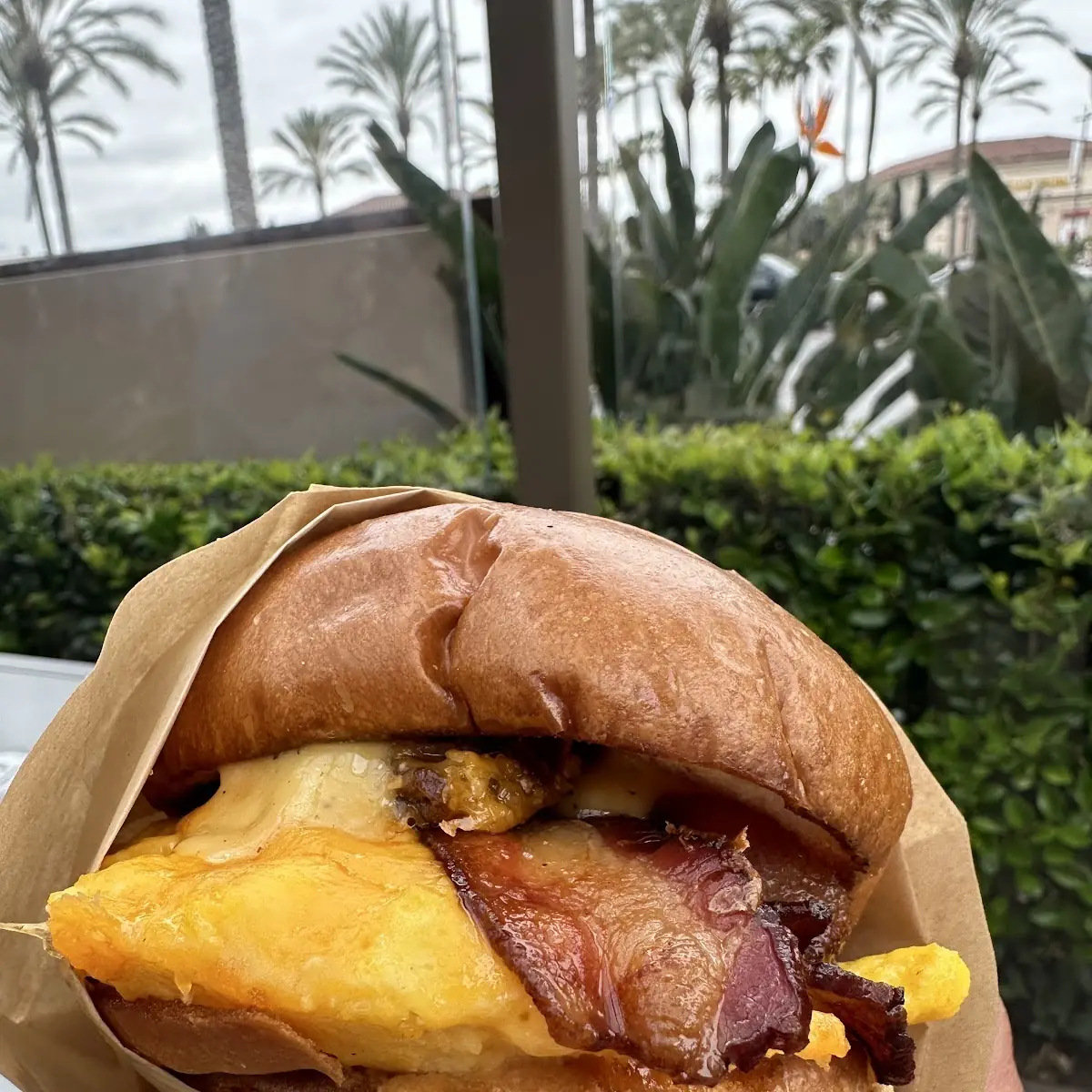 Bacon Egg Cheddar