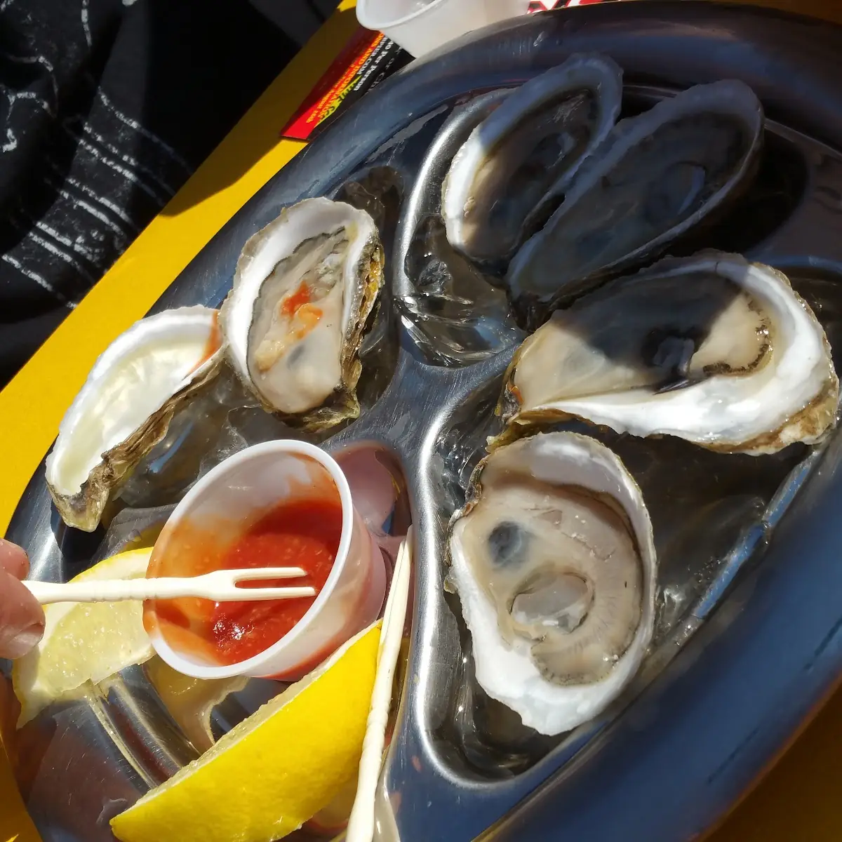 Maine Steamer Clams