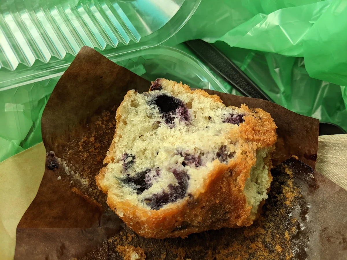 Blueberry Muffin