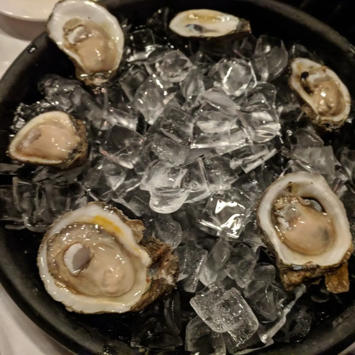 Oysters on the Half Shell
