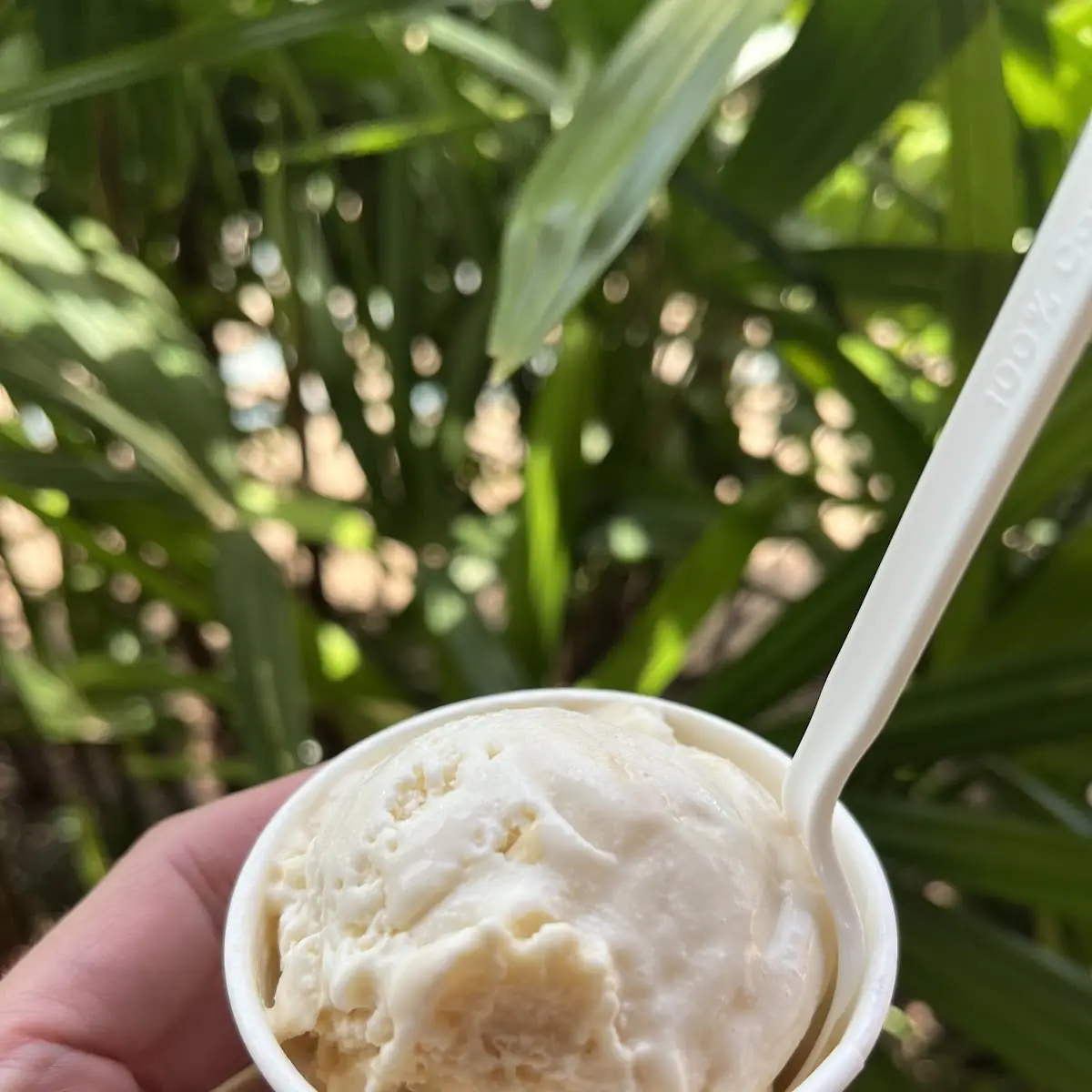 Macadamia Nut Ice Cream