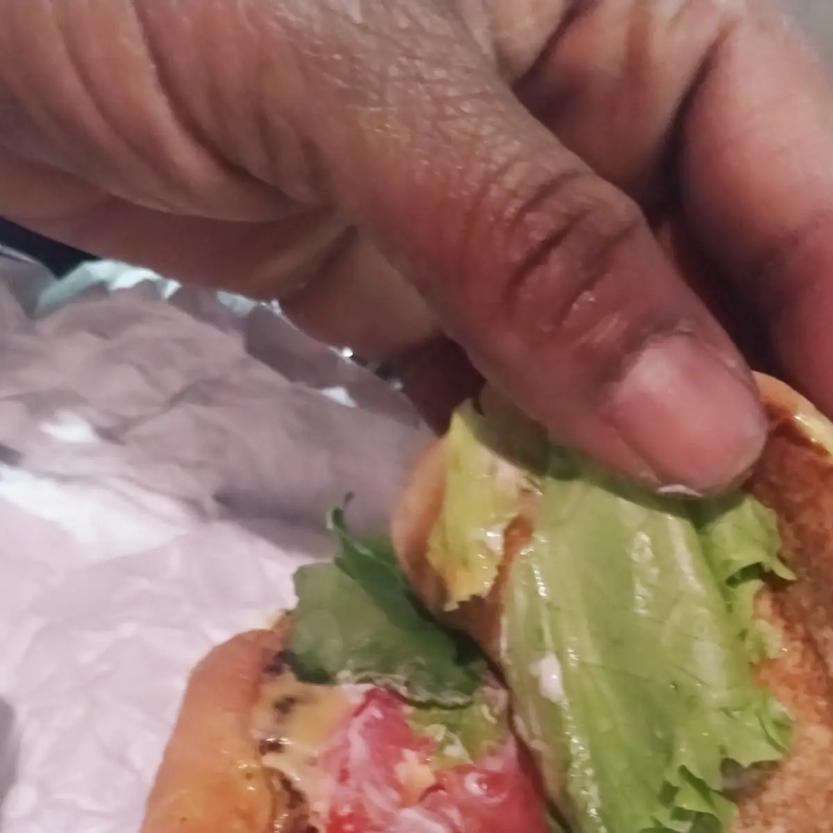 Double Cheeseburger Deluxe