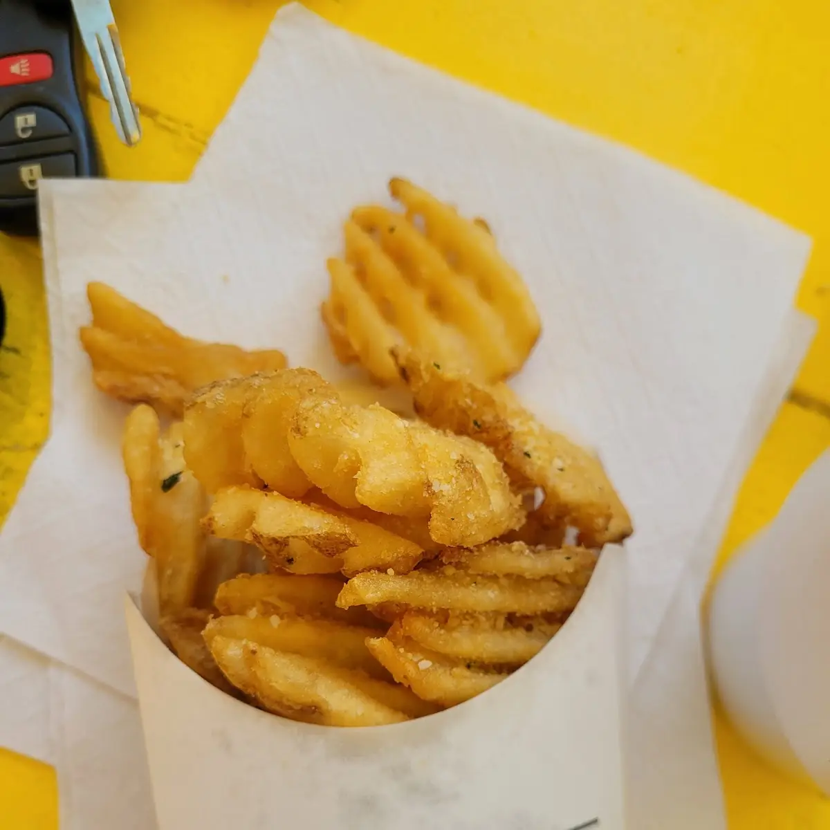 Garlic Parmesan Fries