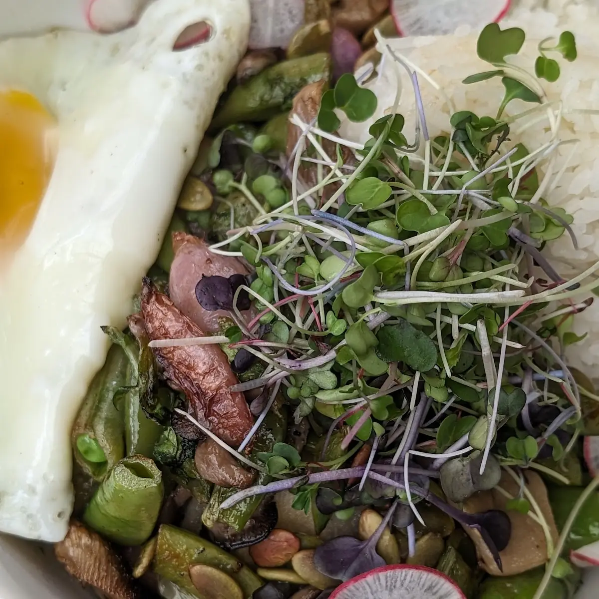 Summer Harvest Bowl
