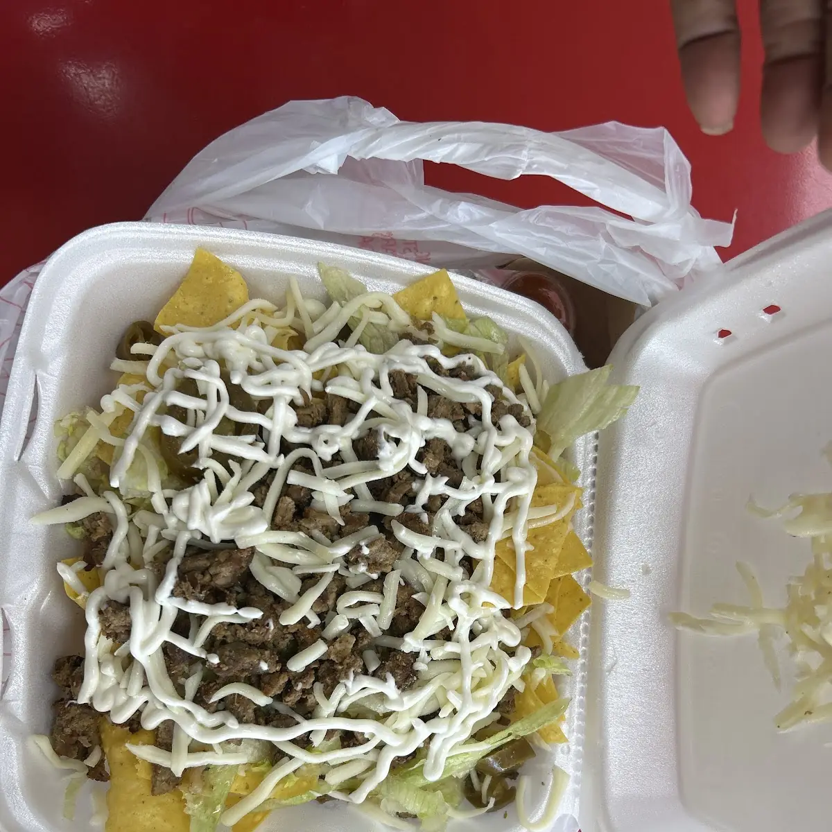 Carne Asada Fries