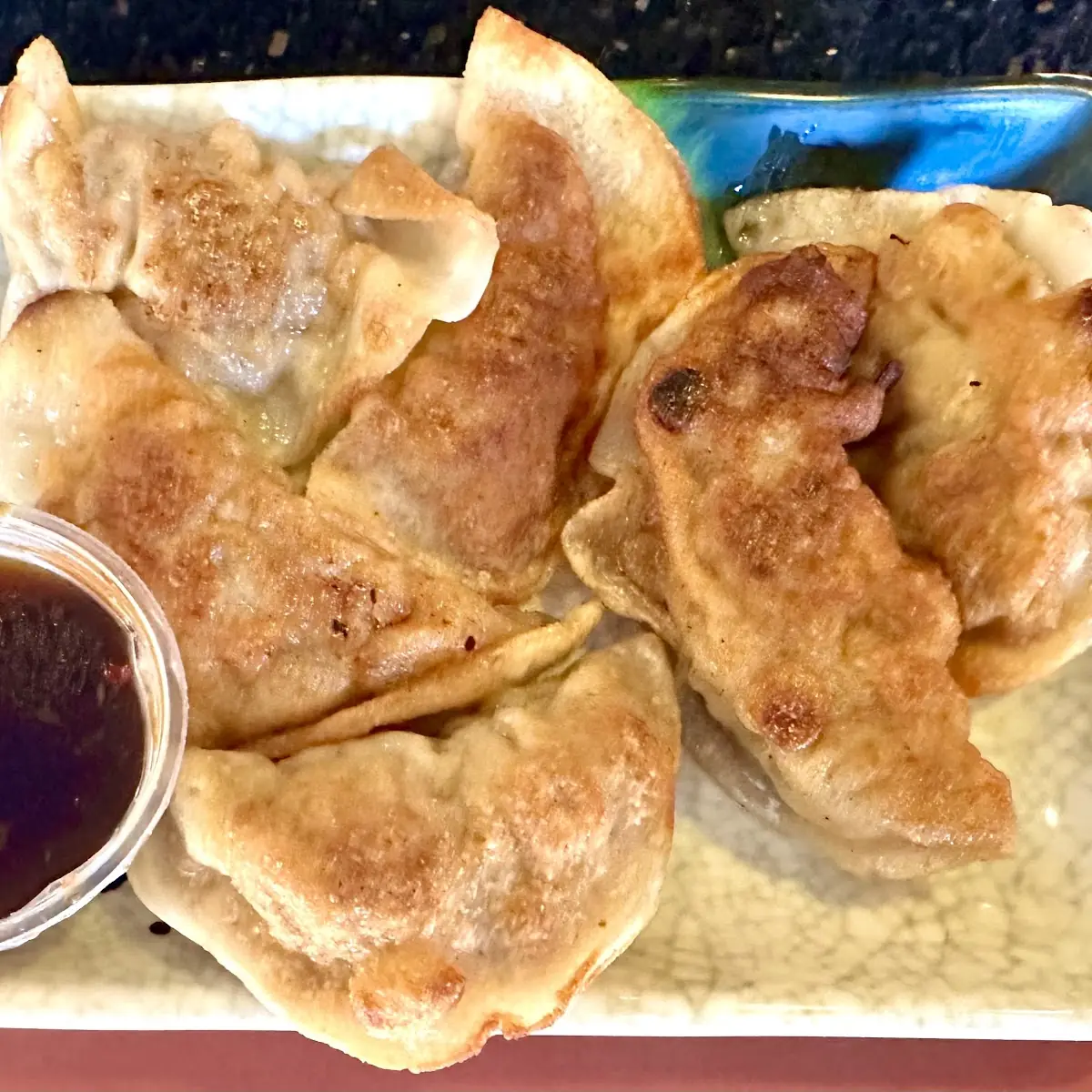 Fried Pork Dumplings