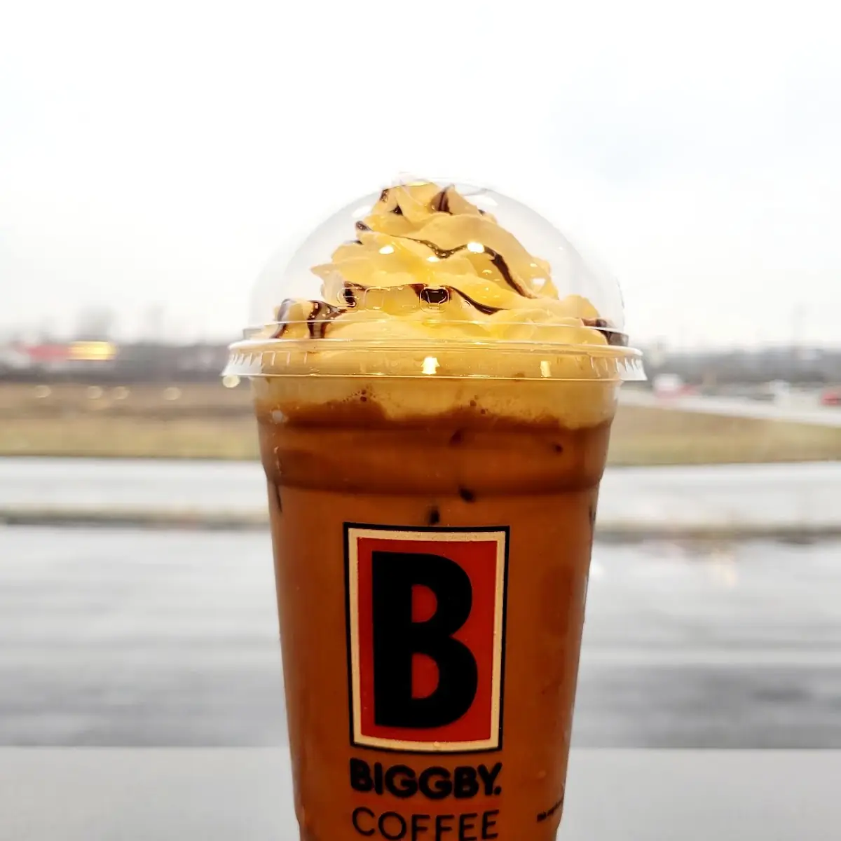 Wild Zebra Mocha & White Chocolate Iced Latte