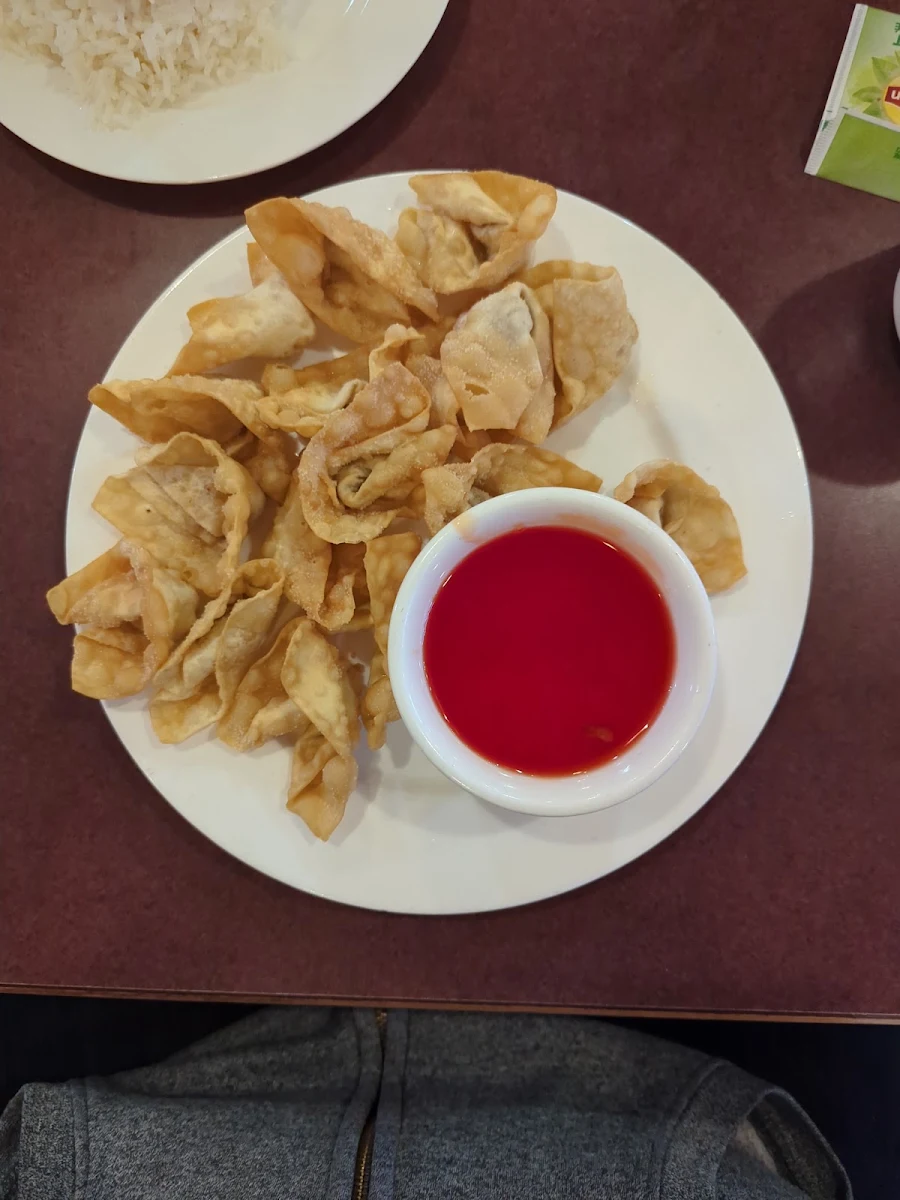 Deep Fried Wonton