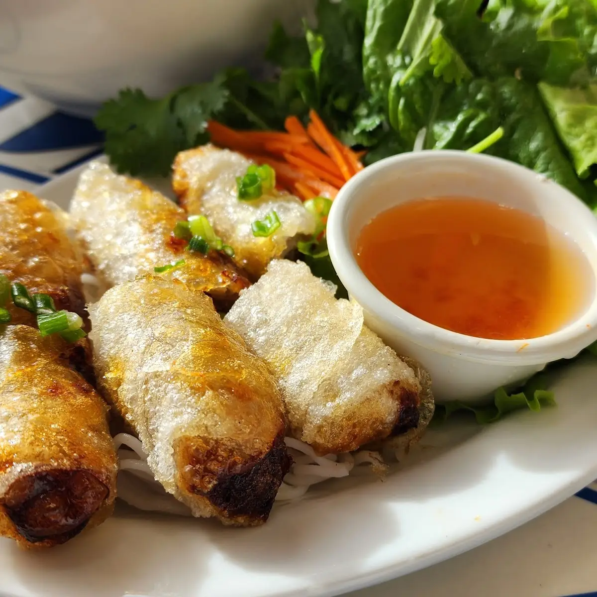 Fried Spring Rolls