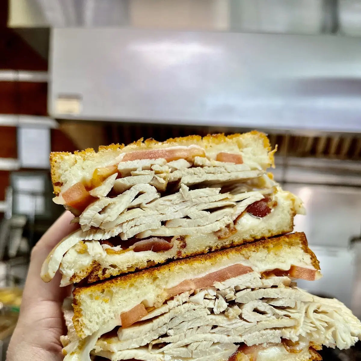 Roast Turkey Sandwich