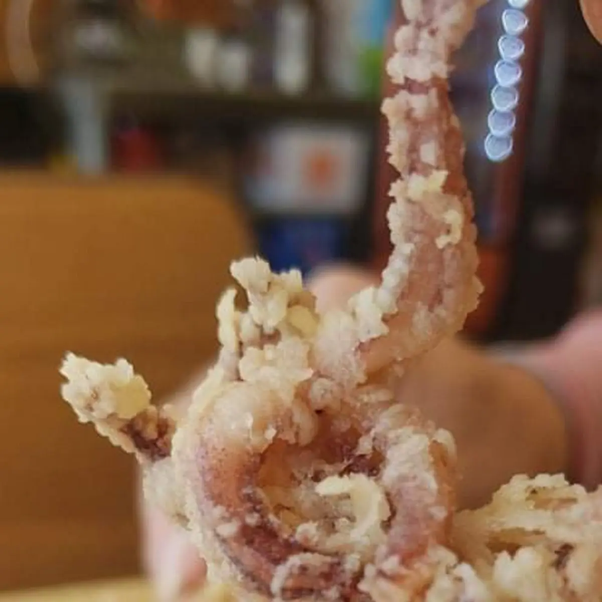 Fried Calamari