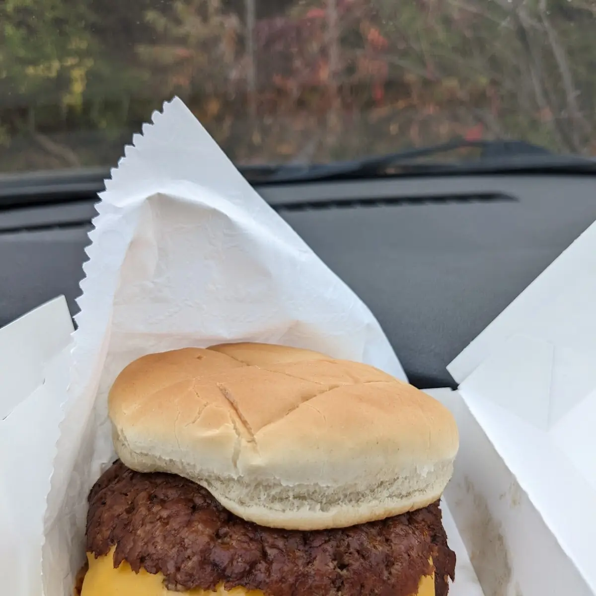 Double Cheeseburger